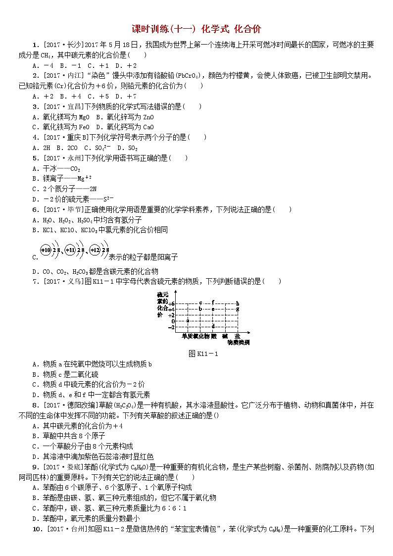 山西专版中考化学复习方案课时训练十一化学式化合价第1页