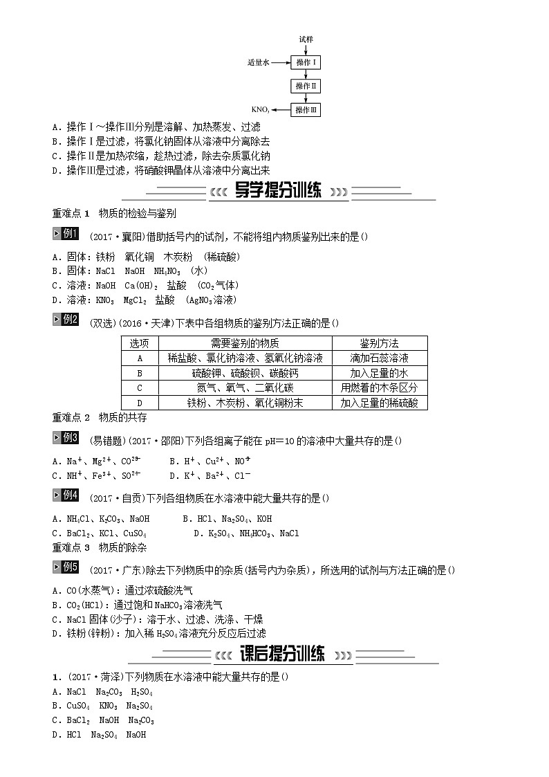 中考化学一轮复习主题五科学探究第17讲物质的检验鉴别共存与除杂练习02