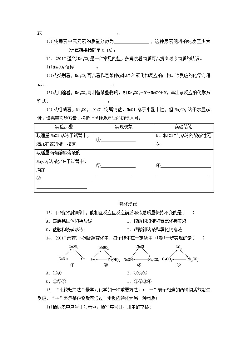 广东省中考化学总复习课时15常见的盐和化肥练习第3页