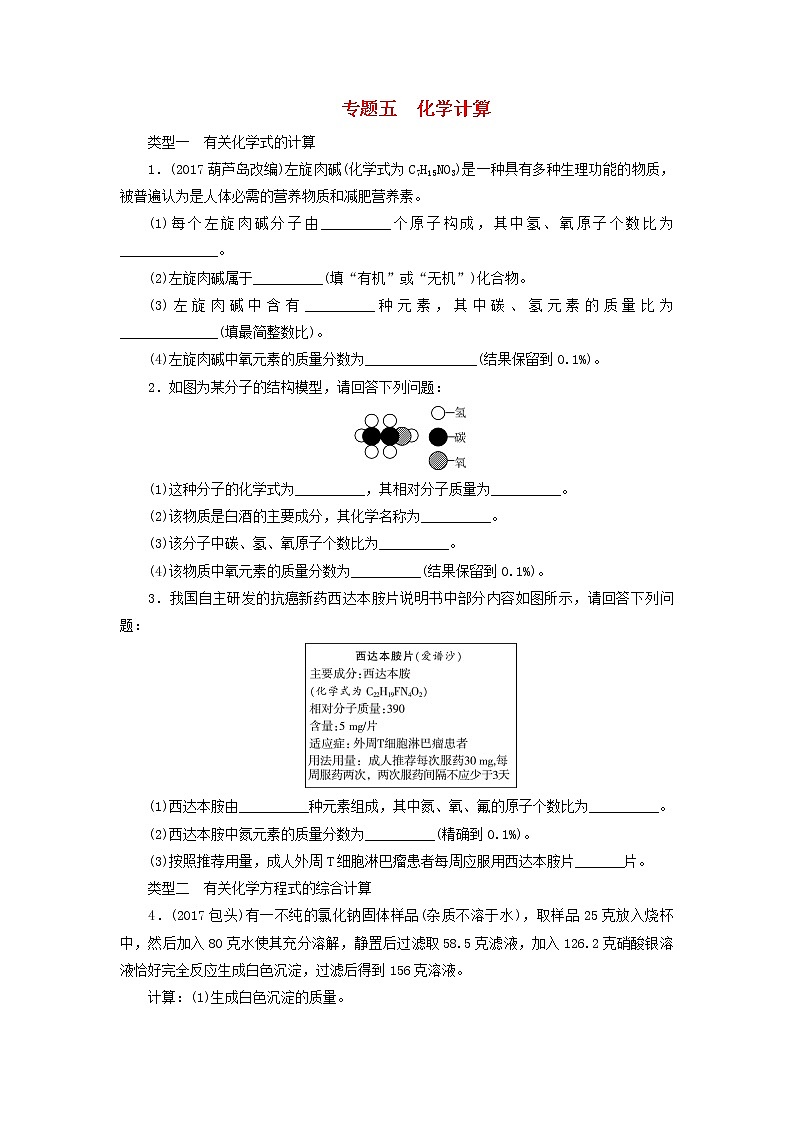 广东省中考化学总复习专题五化学计算课时练习01