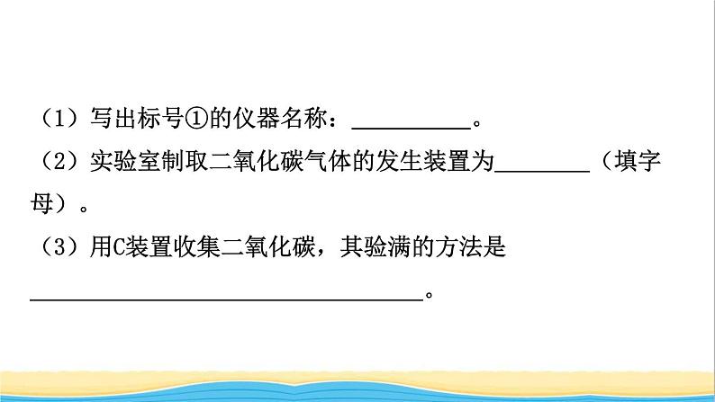 河北省中考化学一轮复习第二讲碳和碳的氧化物课件06