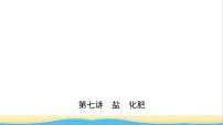 河北省中考化学一轮复习第七讲盐化肥课件