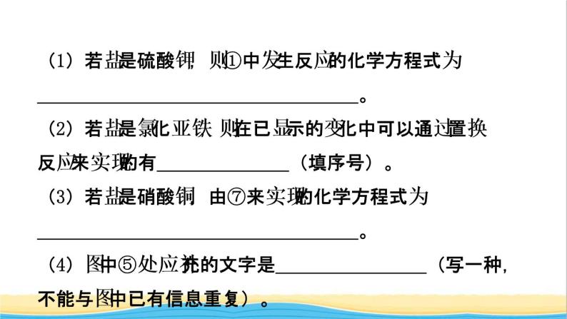 河北省中考化学一轮复习第七讲盐化肥课件05