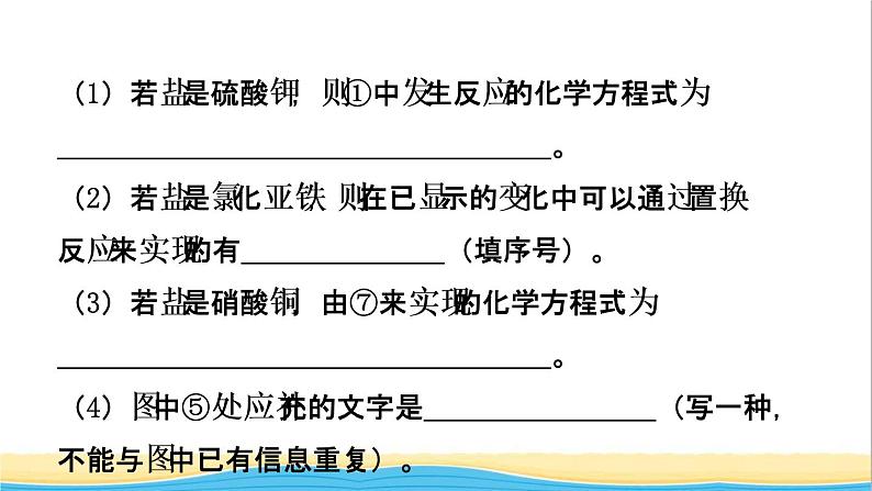 河北省中考化学一轮复习第七讲盐化肥课件05