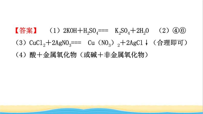 河北省中考化学一轮复习第七讲盐化肥课件06