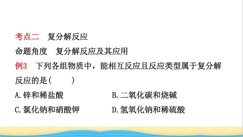 河北省中考化学一轮复习第七讲盐化肥课件07