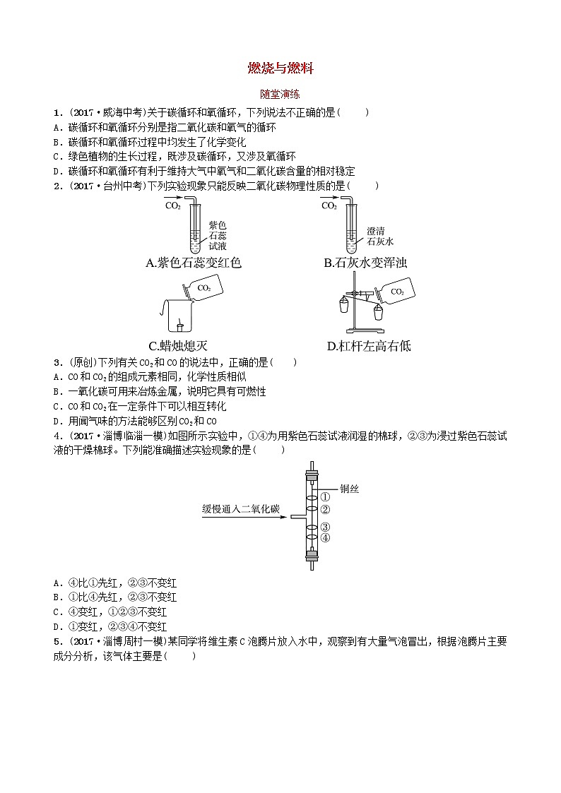 淄博专版中考化学复习八第六单元燃烧与燃料二随堂演练鲁教版第1页