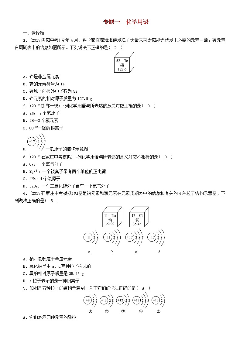 河北专版中考化学复习重点题型突破篇专题1化学用语精练练习01