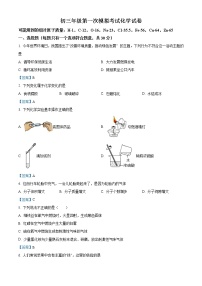 2021年江苏省盐城市亭湖区盐城市初级中学中考一模化学试题及答案