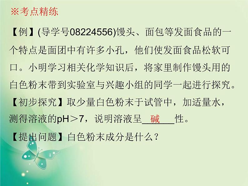 广东专版中考化学复习第六部分专题突破专题四化学实验探究题课件06