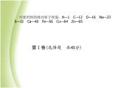 青岛专版中考化学总复习第三部分模拟检测冲刺中考阶段检测卷一课件鲁教版