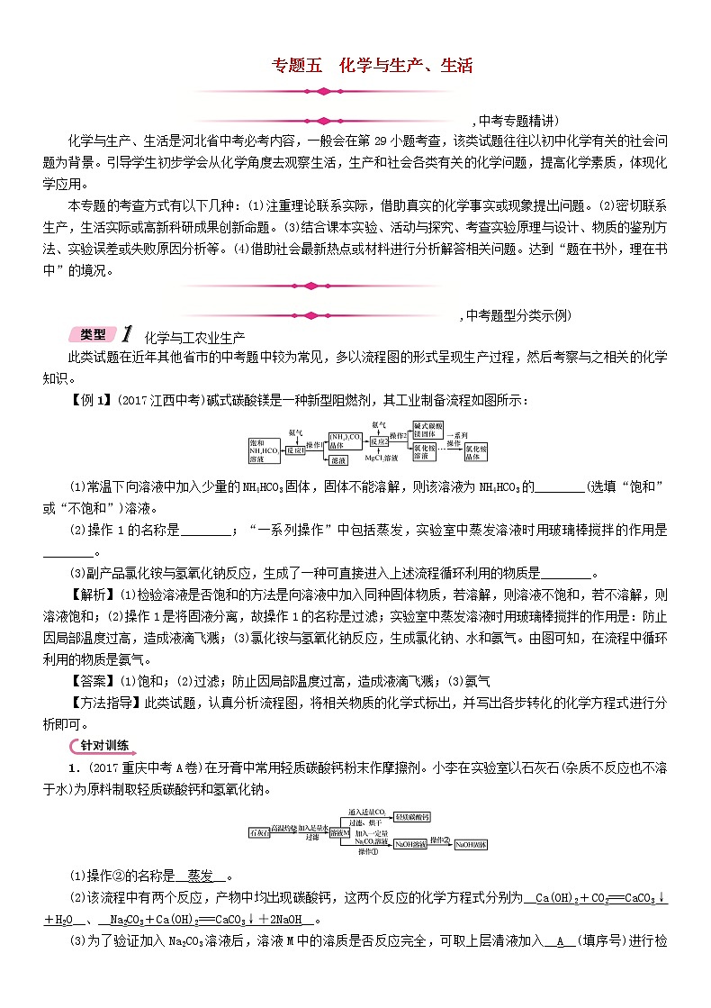 河北专版中考化学复习重点题型突破篇专题5化学与生产生活精讲练习学案第1页