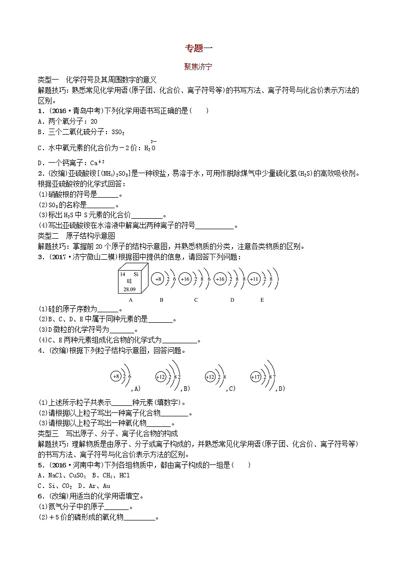 山东省济宁市中考化学复习专题一化学用语聚焦济宁练习第1页