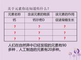 山西省中考化学复习课时4物质的组成与分类课件
