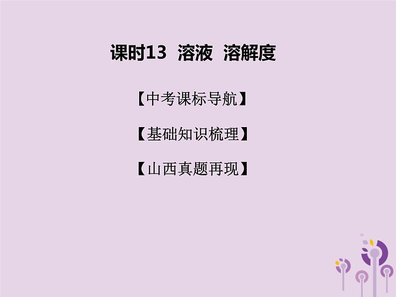 山西省中考化学复习课时13溶液溶解度课件01