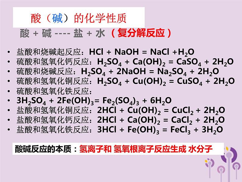 山西省中考化学复习课时15_17酸碱盐课件08