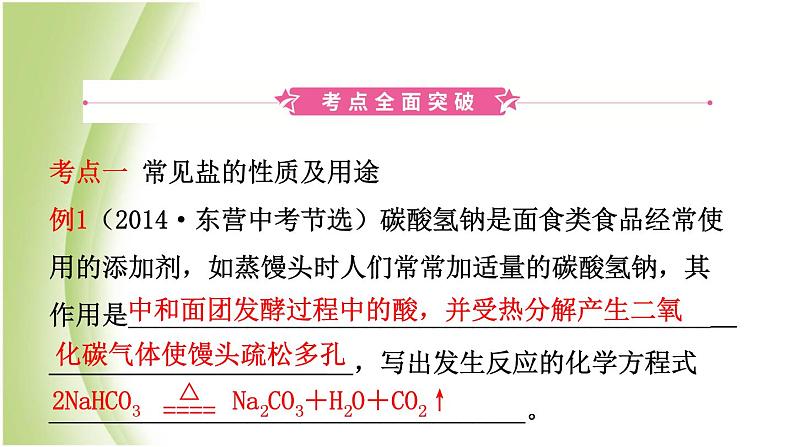 山东诗营市初中化学学业水平考试总复习第十一单元盐化肥课件02