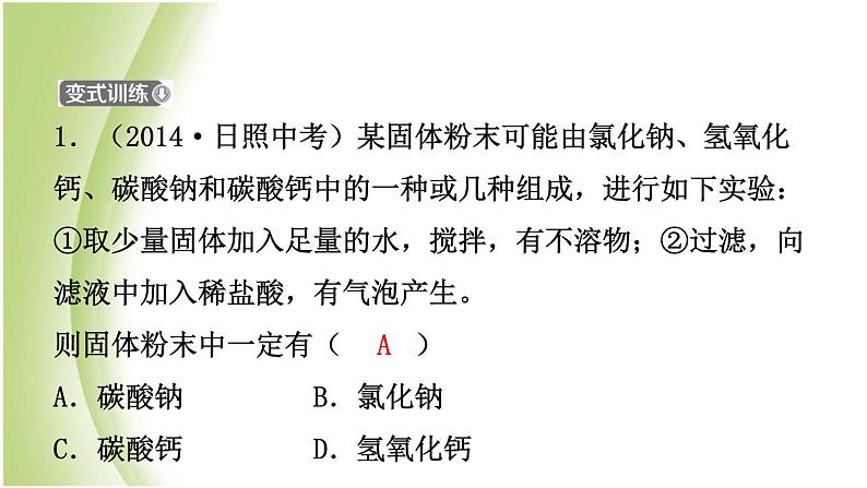 山东诗营市初中化学学业水平考试总复习第十一单元盐化肥课件04