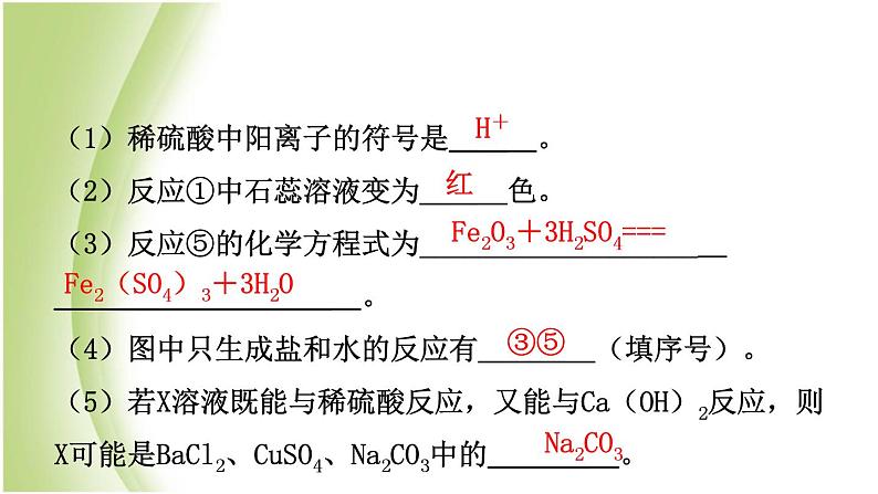 山东诗营市初中化学学业水平考试总复习第十单元酸和碱第1课时常见的酸和碱课件07