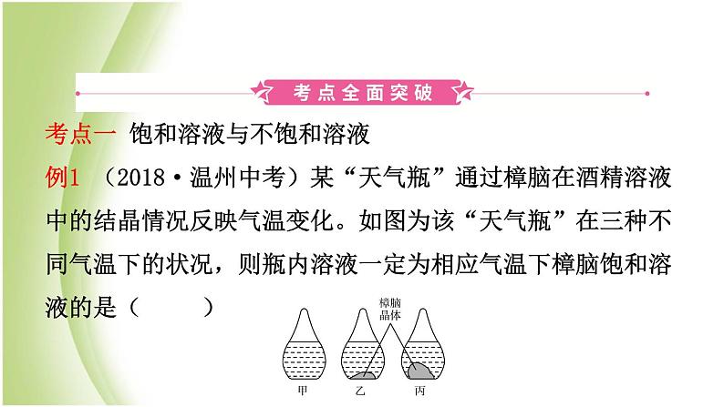 山东诗营市初中化学学业水平考试总复习第九单元溶液第2课时溶解度及溶解度曲线课件第2页
