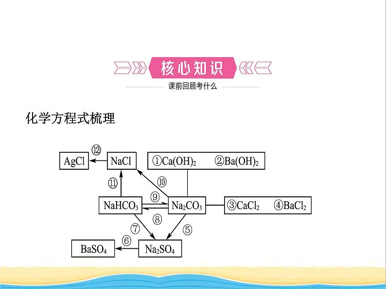 山东省临沂市中考化学复习第十一单元盐化肥课件第2页