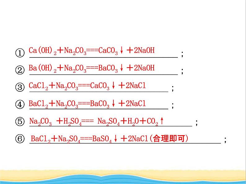 山东省临沂市中考化学复习第十一单元盐化肥课件第3页