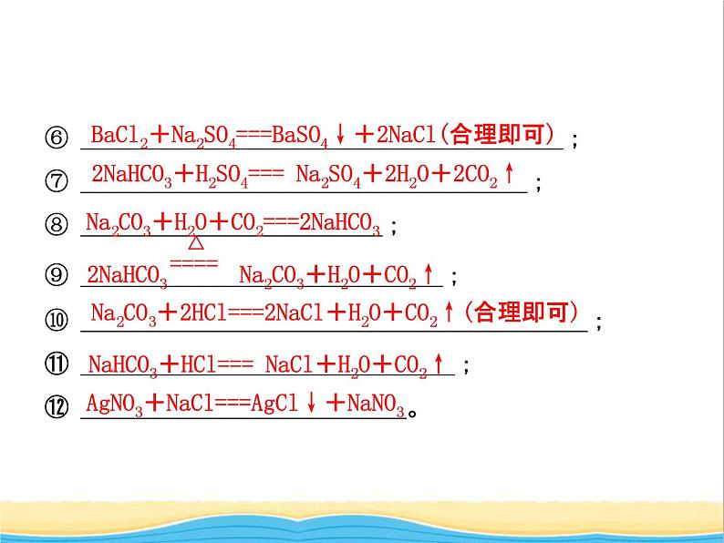 山东省临沂市中考化学复习第十一单元盐化肥课件第4页