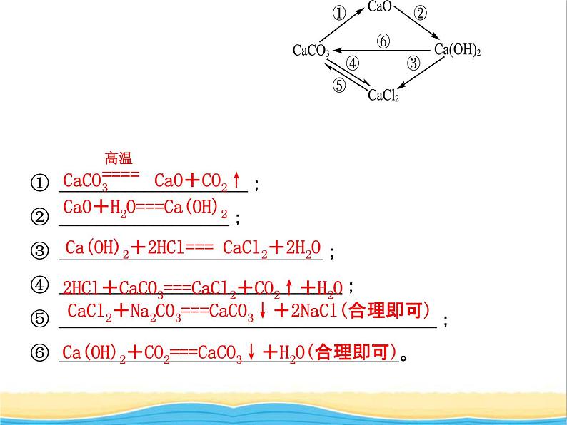 山东省临沂市中考化学复习第十一单元盐化肥课件第5页