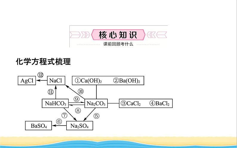 山东诗营市中考化学复习第十一单元盐化肥课件第2页