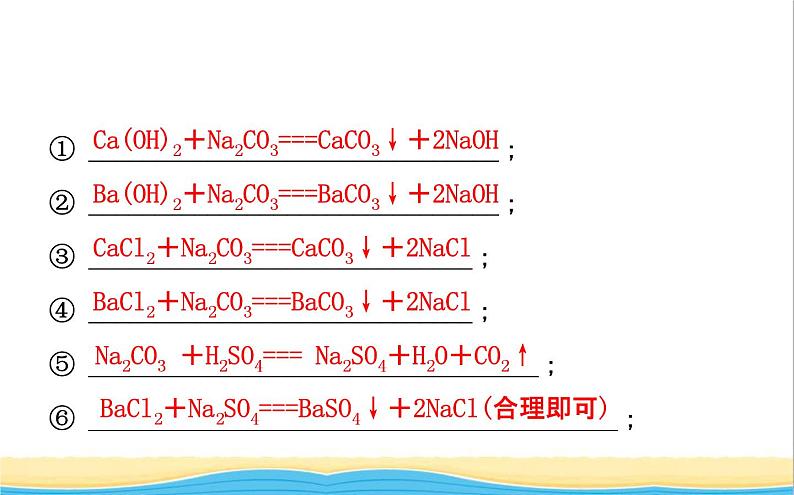 山东诗营市中考化学复习第十一单元盐化肥课件第3页