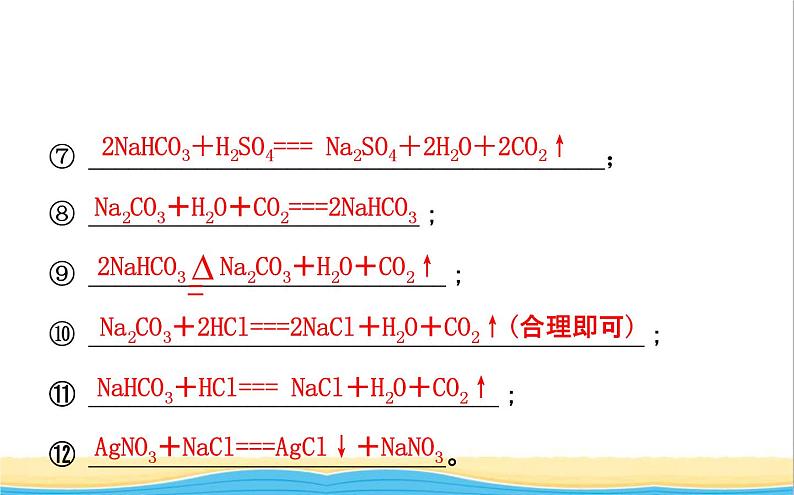 山东诗营市中考化学复习第十一单元盐化肥课件第4页