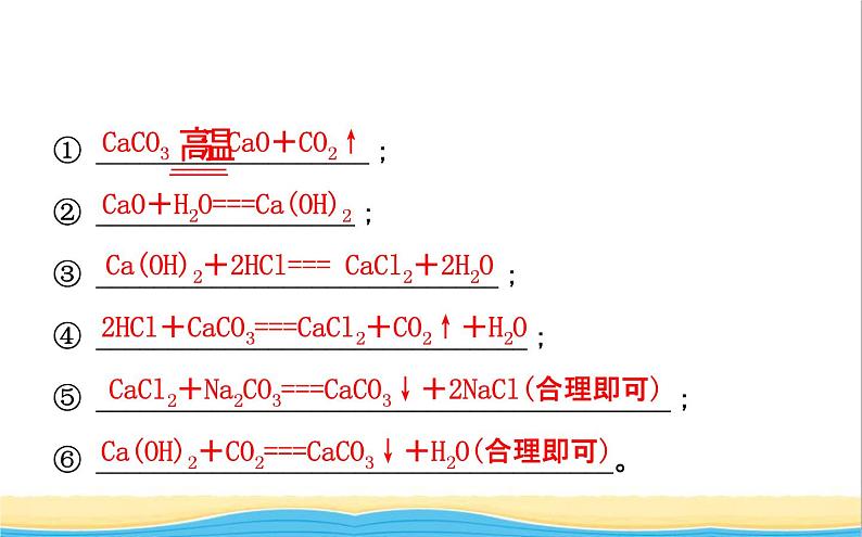 山东诗营市中考化学复习第十一单元盐化肥课件第6页