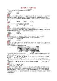 课标通用安徽省中考化学总复习练习14化学与生活