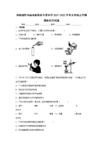 河南省驻马店市新蔡县今是中学2021-2022学年九年级上学期期末化学试题（word版 含答案）