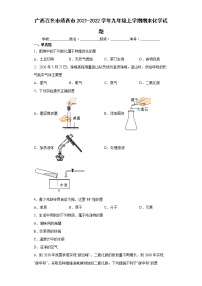 广西百色市靖西市2021-2022学年九年级上学期期末化学试题（word版 含答案）