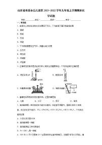 山东省枣庄市台儿庄区2021-2022学年九年级上学期期末化学试题（word版 含答案）