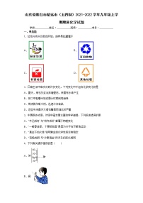 山东省烟台市招远市（五四制）2021-2022学年九年级上学期期末化学试题（word版 含答案）