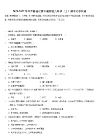 吉林省松原市前郭县2021-2022学年九年级上学期期末化学试卷（word版 含答案）