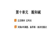 2022年河南中考化学一轮复习课件：第十单元　酸和碱