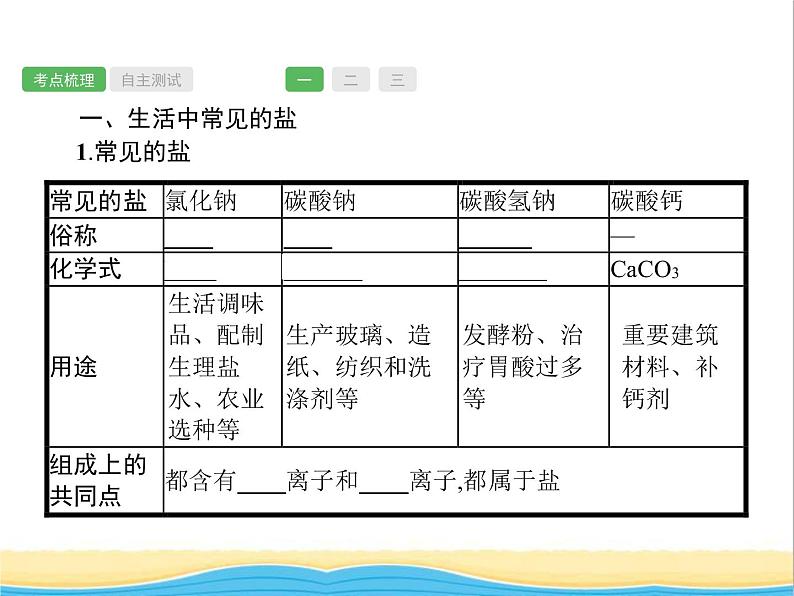 中考化学总复习优化设计专题基础知识过关第十一单元盐化肥课件02