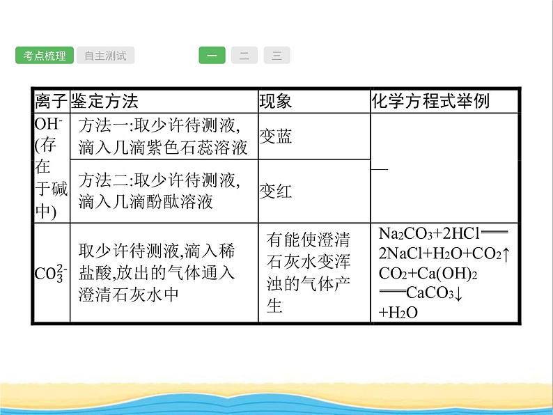 中考化学总复习优化设计专题基础知识过关第十一单元盐化肥课件08