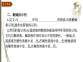 人教版中考化学一轮复习课件第十单元　酸和碱