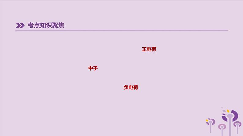 中考化学一轮复习第二单元探秘水世界第03课时原子的结构与元素课件鲁教版第3页