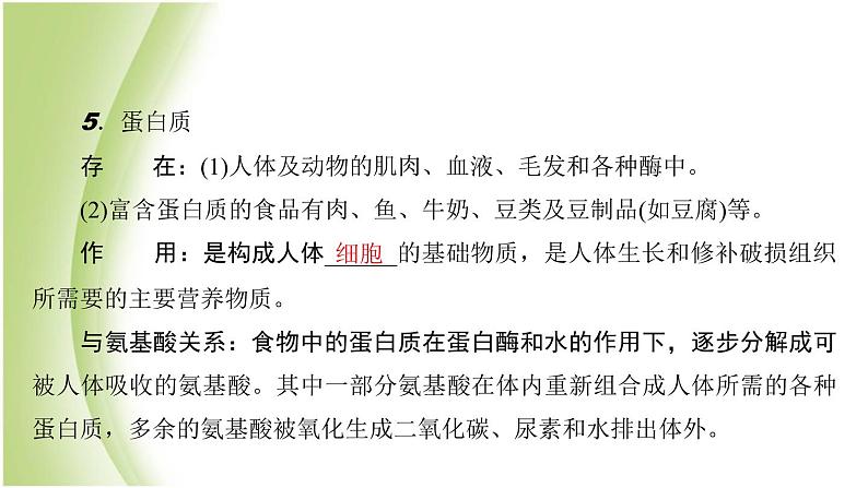 九年级化学下册第十单元化学与健康第一节食物中的有机物课件鲁教版第5页