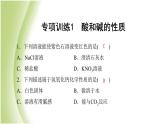 九年级化学下册第七单元常见的酸和碱专项训练1酸和碱的性质课件鲁教版