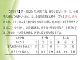 九年级化学下册专题复习四科学探究题课件鲁教版
