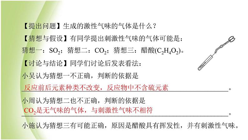 九年级化学下册专题复习四科学探究题课件鲁教版第6页