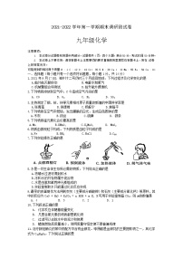 河南省平顶山市2021-2022学年上学期期末调研试卷九年级化学（word版 含答案）