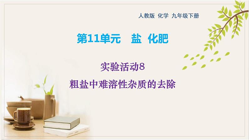 实验活动8粗盐中难溶性杂质的去除练习课件九年级化学人教版下册01