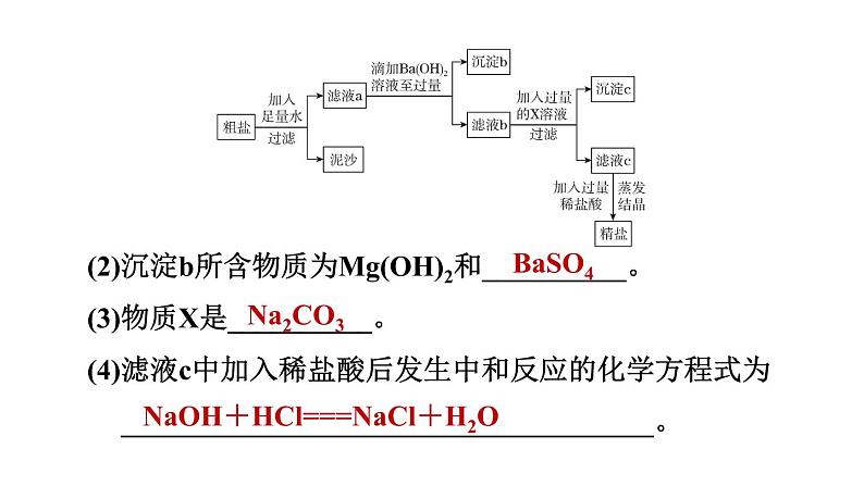 实验活动8粗盐中难溶性杂质的去除练习课件九年级化学人教版下册08